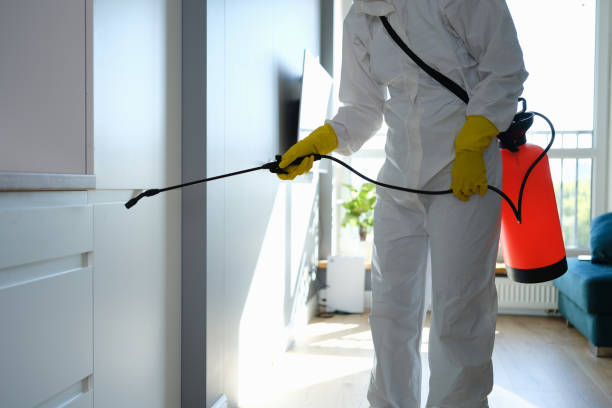 Mold Removal and Inspection in Indiana, PA