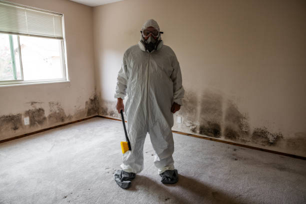 Water Damage Restoration in Indiana, PA